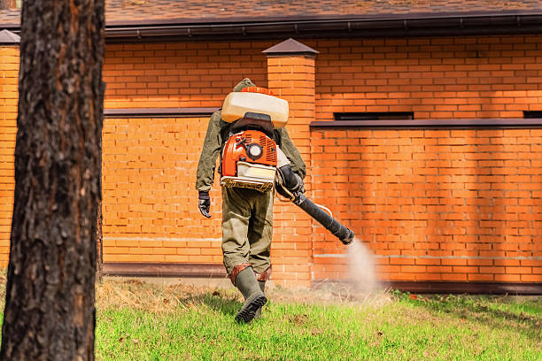 Trusted Bed Bug Control service in Mableton, GA - Nex Pest Control